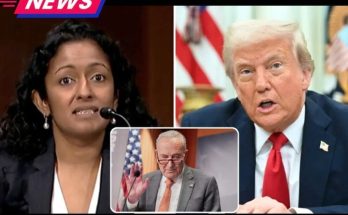 Antifa attack on ice facility results in convictions news update nine people were convicted by a
