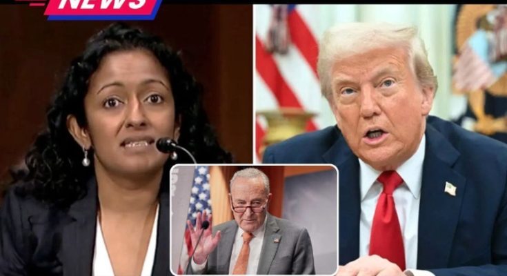 Antifa attack on ice facility results in convictions news update nine people were convicted by a