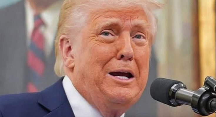 Trump looked straight at reporters and said the during a recent media interaction donald trump drew