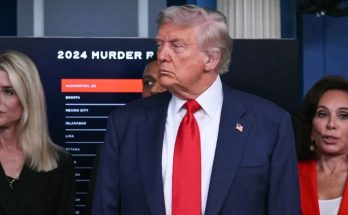 Trump with Kamala Harris and Tulsi Gabbard