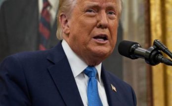 Trump Cuba friendly takeover