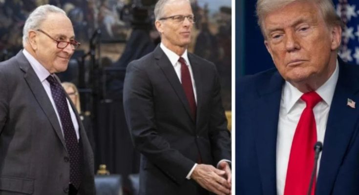 Chuck Schumer John Thune Donald Trump DHS