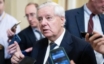 Lindsey Graham speaks to reporters