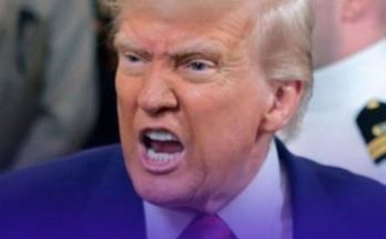 Trump 25th Amendment Marjorie Taylor Greene (41 characters)