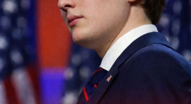 Draft Barron Trump website