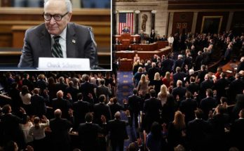 Chuck Schumer in Congress chamber