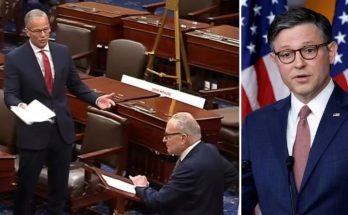 Mike Johnson speaks in House chamber