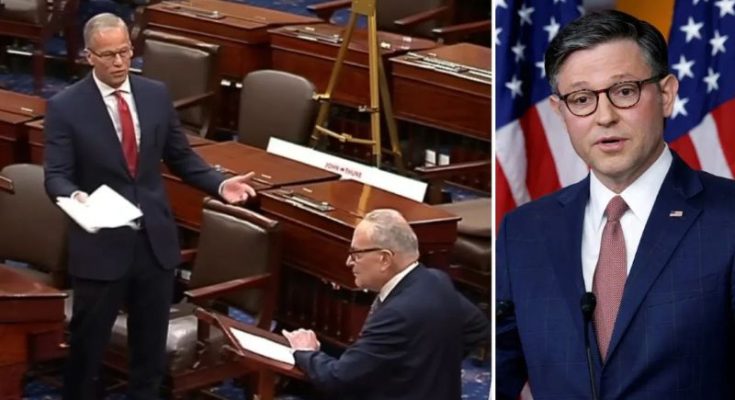Mike Johnson speaks in House chamber