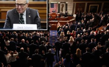 Chuck Schumer in Congress chamber