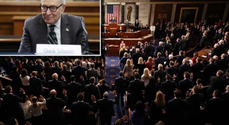 Chuck Schumer in Congress chamber