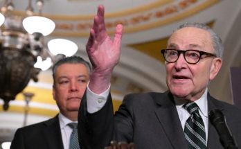 Chuck Schumer raises hand speaking