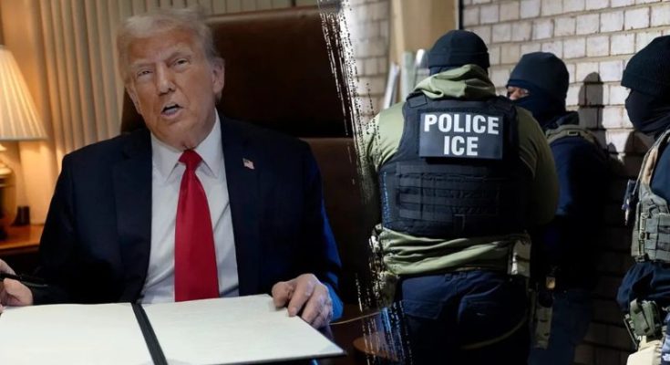 Trump and ICE agents raid