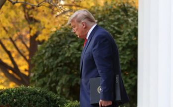 Trump executive order DEI federal contractors