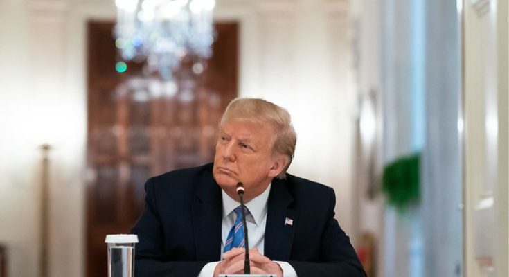 Maria Salazar immigration bill amnesty