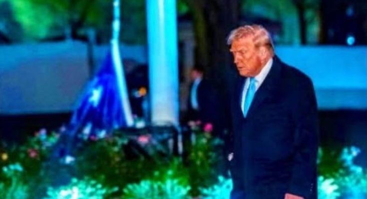 President Trump at night event