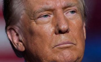Trump executive order international students deportation