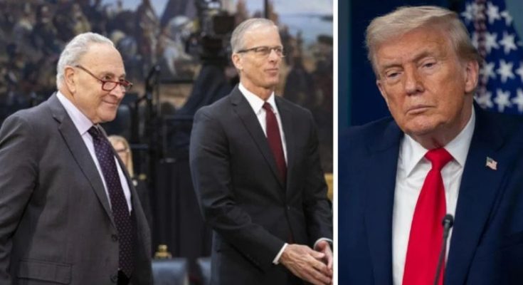 Trump and Senate leaders on DHS funding bill