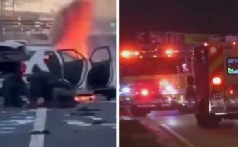 Fatal crash scene where Alberto Coutinho died