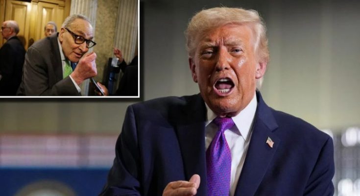 Trump court ruling sparks Democrat outrage