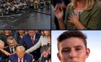 four-panel image showing plane crash wreckage with firefighters, crying blonde woman
