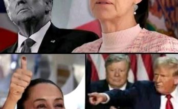 collage showing Donald Trump, a woman in pink tweed, a woman giving thumbs up, and Trump
