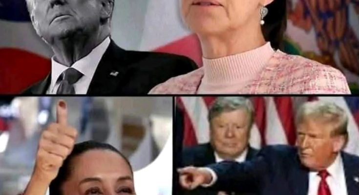 collage showing Donald Trump, a woman in pink tweed, a woman giving thumbs up, and Trump