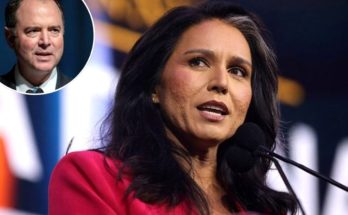 tulsi Gabbard speaking at podium in magenta blazer with Adam Schiff shown in circular