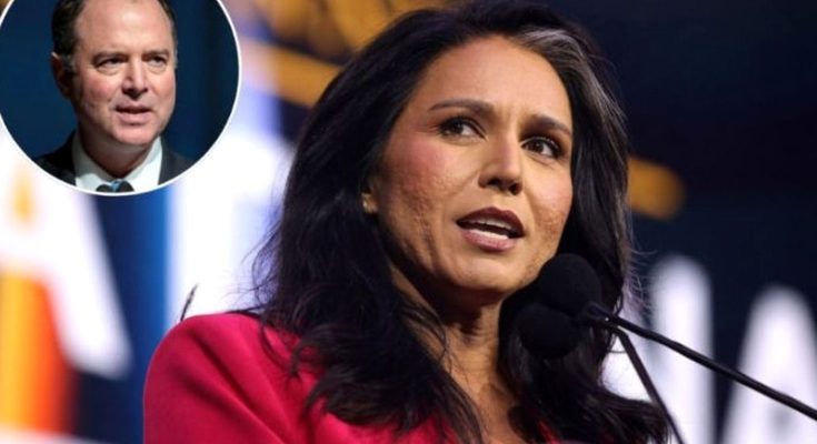 tulsi Gabbard speaking at podium in magenta blazer with Adam Schiff shown in circular