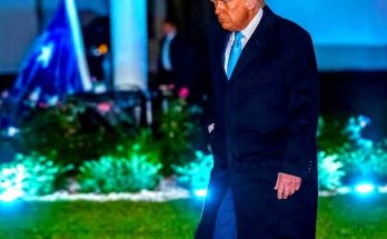 donald Trump walking across lawn at night in dark overcoat with blue tie, European Union